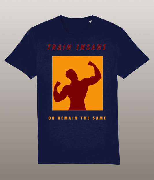 Train Insane or Remain the Same - T-Shirt - Medium Pasvorm - Hoge Kwaliteit Biologisch Katoen